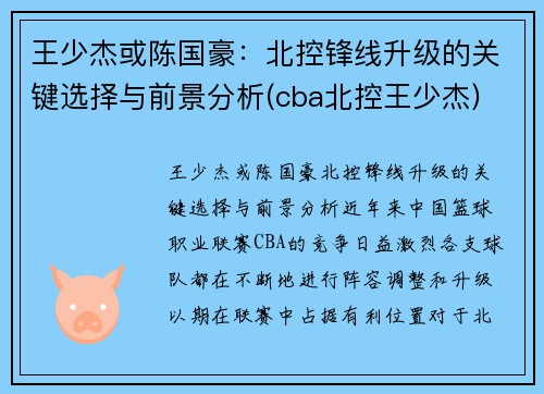 王少杰或陈国豪：北控锋线升级的关键选择与前景分析(cba北控王少杰)