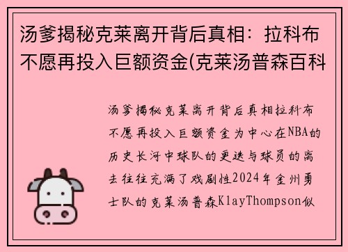 汤爹揭秘克莱离开背后真相：拉科布不愿再投入巨额资金(克莱汤普森百科)
