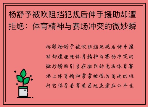杨舒予被吹阻挡犯规后伸手援助却遭拒绝：体育精神与赛场冲突的微妙瞬间