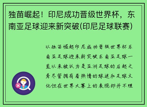 独苗崛起！印尼成功晋级世界杯，东南亚足球迎来新突破(印尼足球联赛)