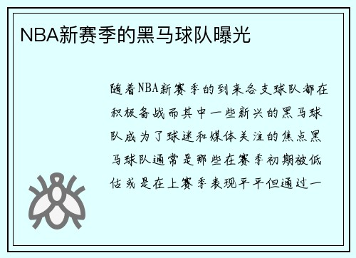 NBA新赛季的黑马球队曝光